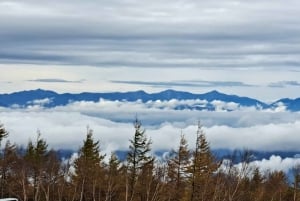 Koko päivän yksityinen kierros Fujille Tokiosta (mukautettavissa)