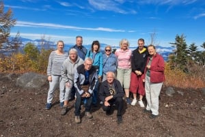 Koko päivän yksityinen kierros Fujille Tokiosta (mukautettavissa)