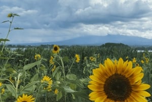 Koko päivän yksityinen kierros Fujille Tokiosta (mukautettavissa)