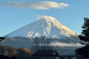 MT.Fuji: Mount Fuji Private day Tour English Speaking Driver