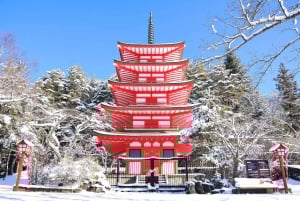 MT.Fuji: Mount Fuji Private day Tour English Speaking Driver