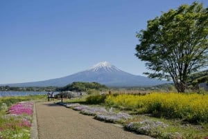 MT.Fuji: Mount Fuji Private day Tour English Speaking Driver
