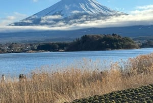 MT.Fuji: Mount Fuji Private day Tour English Speaking Driver