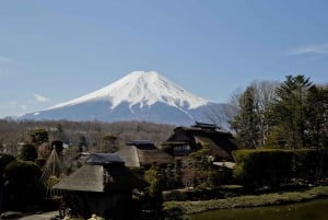 MT.Fuji: Mount Fuji Private day Tour English Speaking Driver
