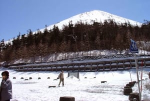 MT.Fuji: Mount Fuji Private day Tour English Speaking Driver