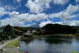 MT.Fuji: Mount Fuji Private day Tour English Speaking Driver