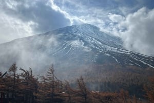 MT.Fuji: Mount Fuji Private day Tour English Speaking Driver