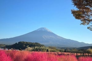 MT.Fuji: Mount Fuji Private day Tour English Speaking Driver