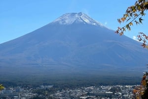 MT.Fuji: Mount Fuji Private day Tour English Speaking Driver