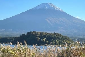 MT.Fuji: Mount Fuji Private day Tour English Speaking Driver
