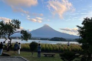 MT.Fuji: Mount Fuji Private day Tour English Speaking Driver