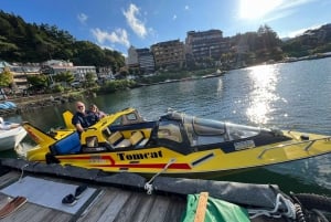 MT.Fuji: Mount Fuji Private day Tour English Speaking Driver