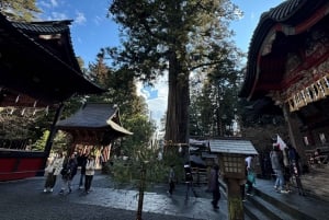 MT.Fuji: Mount Fuji Private day Tour English Speaking Driver