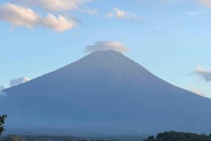 MT.Fuji: Mount Fuji Private day Tour English Speaking Driver