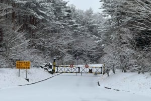 MT.Fuji: Mount Fuji Private day Tour English Speaking Driver