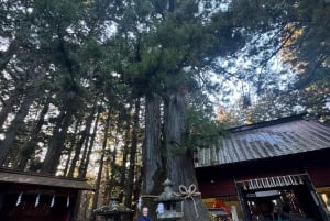 MT.Fuji: Mount Fuji Private day Tour English Speaking Driver