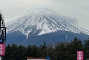 MT.Fuji: Mount Fuji Private day Tour English Speaking Driver