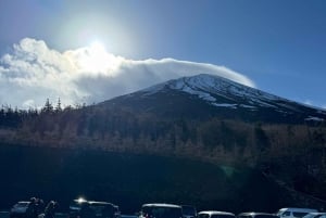MT.Fuji: Mount Fuji Private day Tour English Speaking Driver