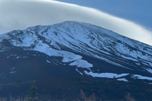 MT.Fuji: Mount Fuji Private day Tour English Speaking Driver