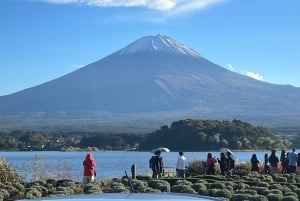 MT.Fuji: Mount Fuji Private day Tour English Speaking Driver