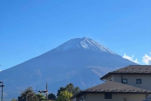 MT.Fuji: Mount Fuji Private day Tour English Speaking Driver