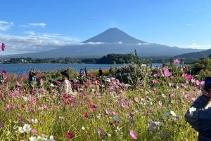 MT.Fuji: Mount Fuji Private day Tour English Speaking Driver