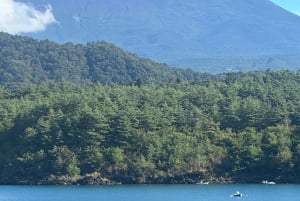 Tóquio: Monte Fuji Tour de 1 dia, personalizável e acessível, em privado