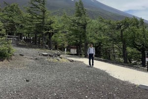 Tóquio: Monte Fuji Tour de 1 dia, personalizável e acessível, em privado