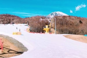 From Tokyo: Mount Fuji Skiing and Hot Springs Day Tour