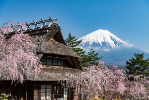 From Tokyo:Mount Fuji Top 5 Must-Visit Attractions Day Tour