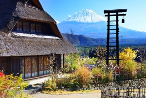 From Tokyo:Mount Fuji Top 5 Must-Visit Attractions Day Tour