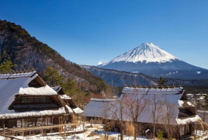 From Tokyo:Mount Fuji Top 5 Must-Visit Attractions Day Tour