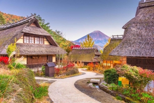 From Tokyo:Mount Fuji Top 5 Must-Visit Attractions Day Tour