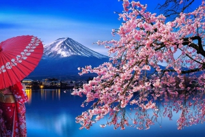 From Tokyo:Mount Fuji Top 5 Must-Visit Attractions Day Tour