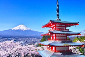 From Tokyo:Mount Fuji Top 5 Must-Visit Attractions Day Tour