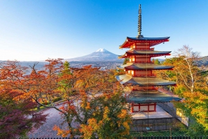 From Tokyo:Mount Fuji Top 5 Must-Visit Attractions Day Tour