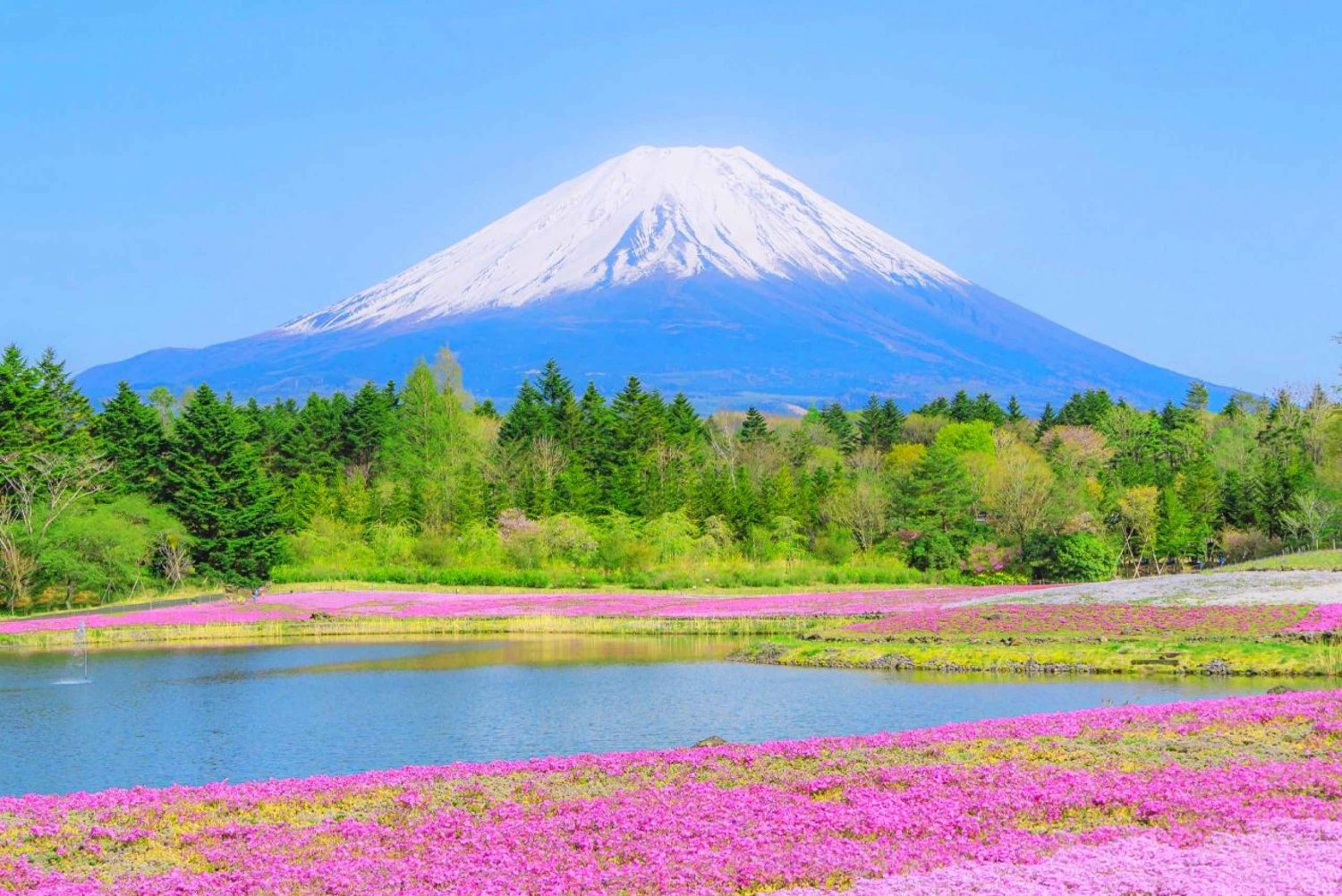 From Tokyo: Mt. Fuji 5th, Oshino Hakkai, Onsen Full-Day Trip