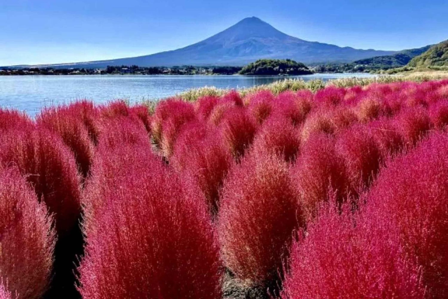 From Tokyo: Mt. Fuji 5th station and Oshino Hakkai Day Trip