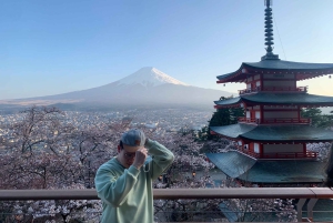 東京発：富士山5合目と忍野八海への日帰りツアー