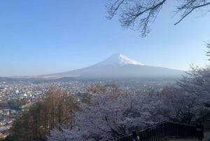 東京発：富士山5合目と忍野八海への日帰りツアー