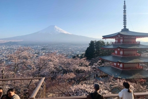 東京発：富士山5合目と忍野八海への日帰りツアー