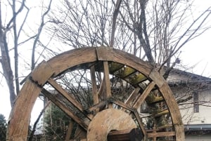 東京発：富士山5合目と忍野八海への日帰りツアー