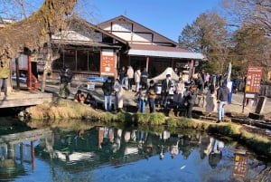 東京発：富士山5合目と忍野八海への日帰りツアー