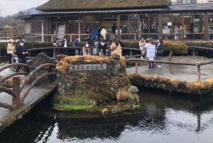 東京発：富士山5合目と忍野八海への日帰りツアー