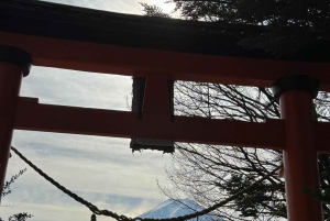 東京発：富士山5合目と忍野八海への日帰りツアー