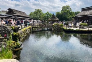 東京発：富士山5合目と忍野八海への日帰りツアー