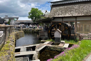 東京発：富士山5合目と忍野八海への日帰りツアー