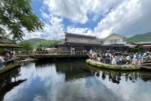 東京発：富士山5合目と忍野八海への日帰りツアー