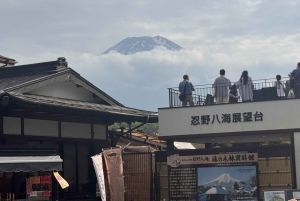 東京発：富士山5合目と忍野八海への日帰りツアー