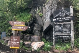 東京発：富士山5合目と忍野八海への日帰りツアー